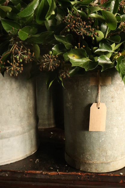 Galvanised Flower Bucket