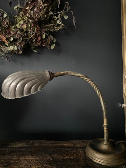 Clam Oyster Shell Goose Neck Lamp