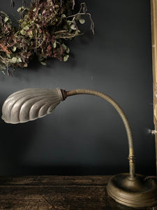 Clam Oyster Shell Goose Neck Lamp