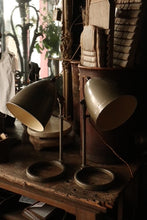 Load image into Gallery viewer, Pair of Laboratory Lamps