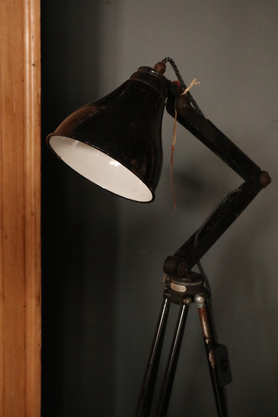 Anglepoise Lamp mounted on Pullin Optics Tripod