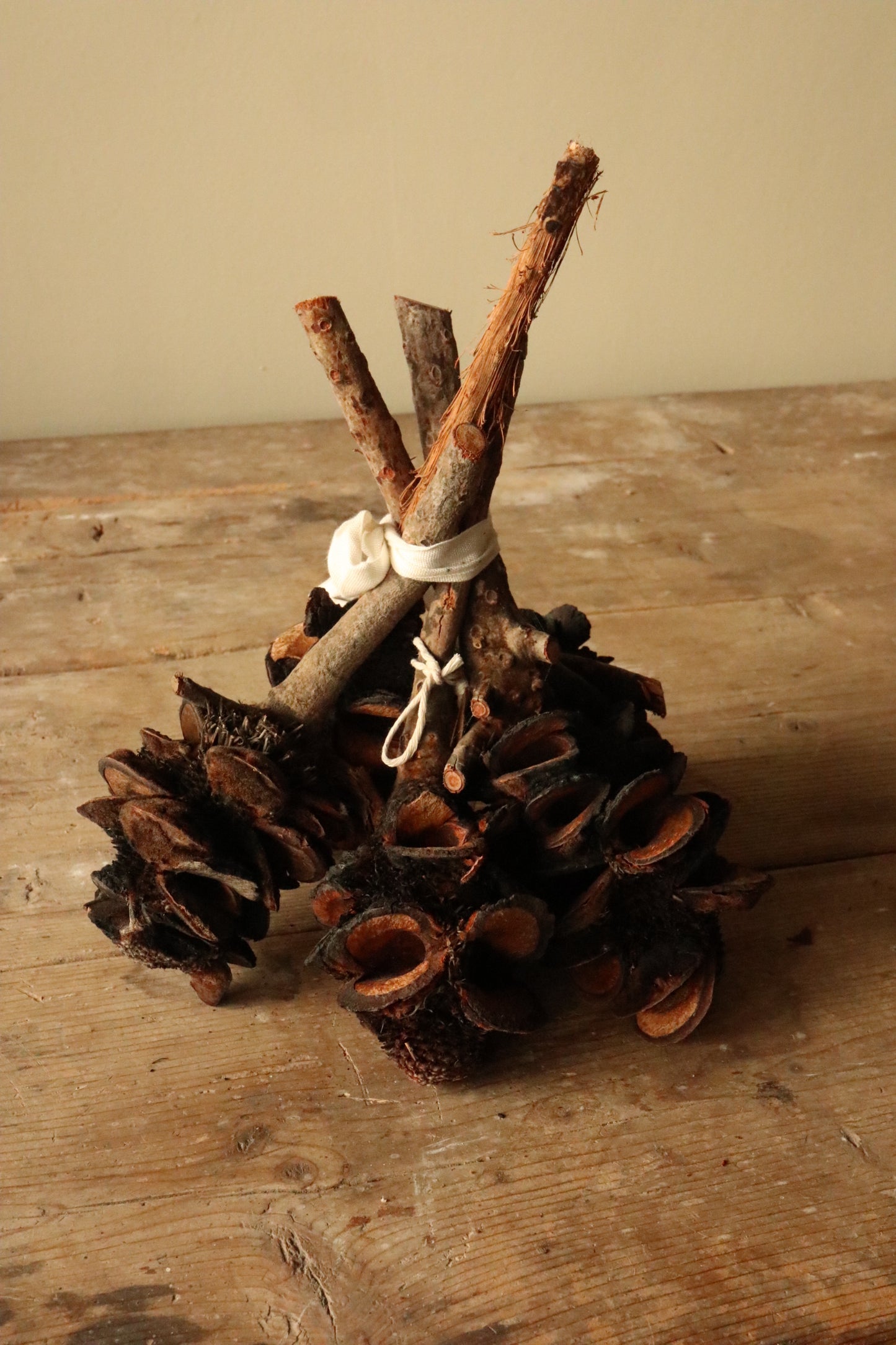 Banksia Cones Centrepiece