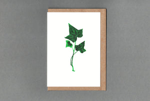 Ivy. Letterpress Greeting Card. Eco Friendly: With Cello